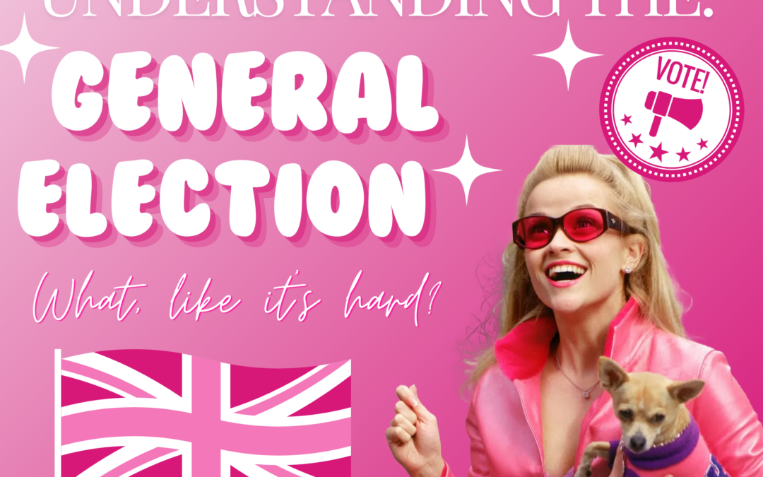 Politics for beginners: A blonde girls guide to the general election